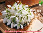 Un buchet de ghiocei
