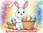 Iepurasul a sosit