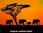 Ce spui de o calatorie in Africa?
