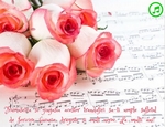 Frumusetea si gingasia acestor trandafiri